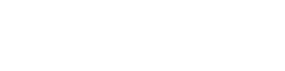 Frontier Logo